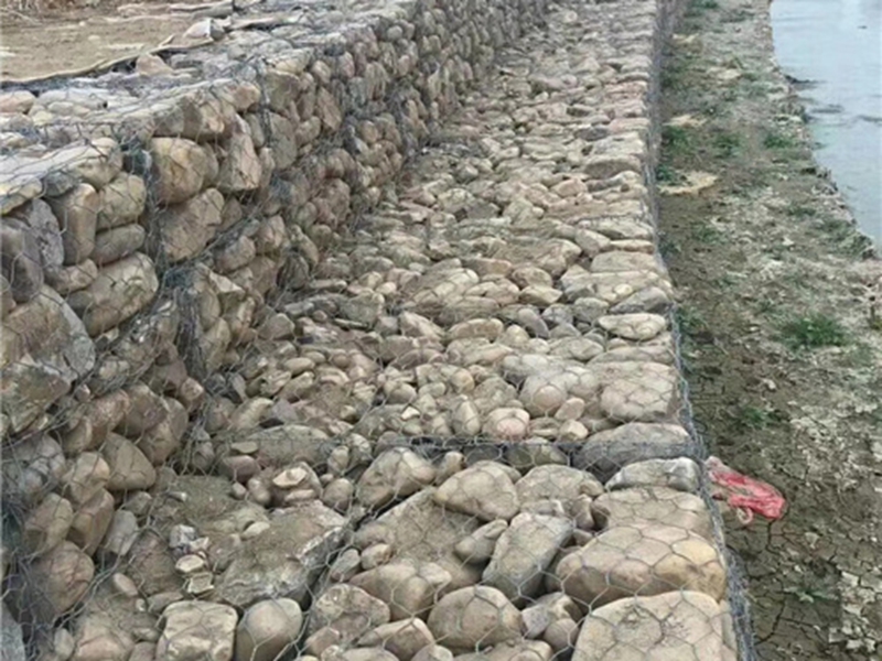 固滨笼