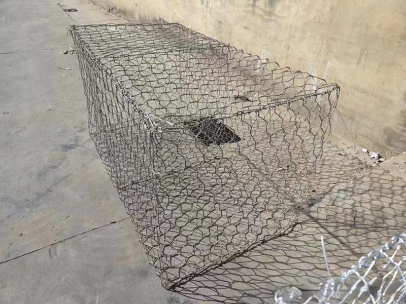 固滨笼