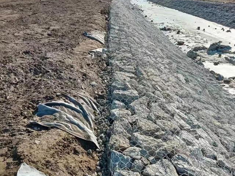 固滨笼