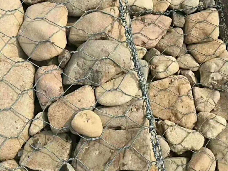 固滨笼